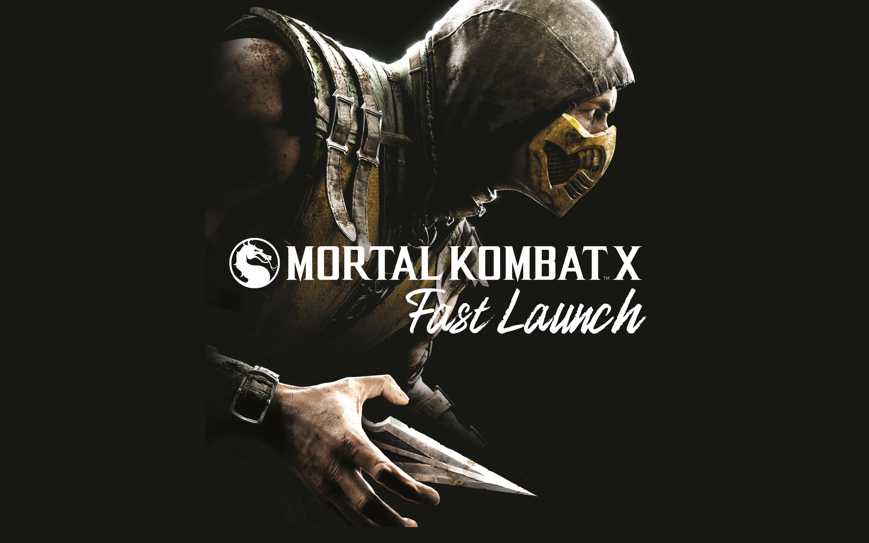 Fast Launch - быстрый запуск игры (No Intro)